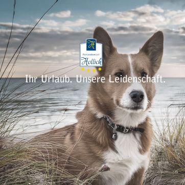 Domizil_Block-Visuals_hund-groemitz