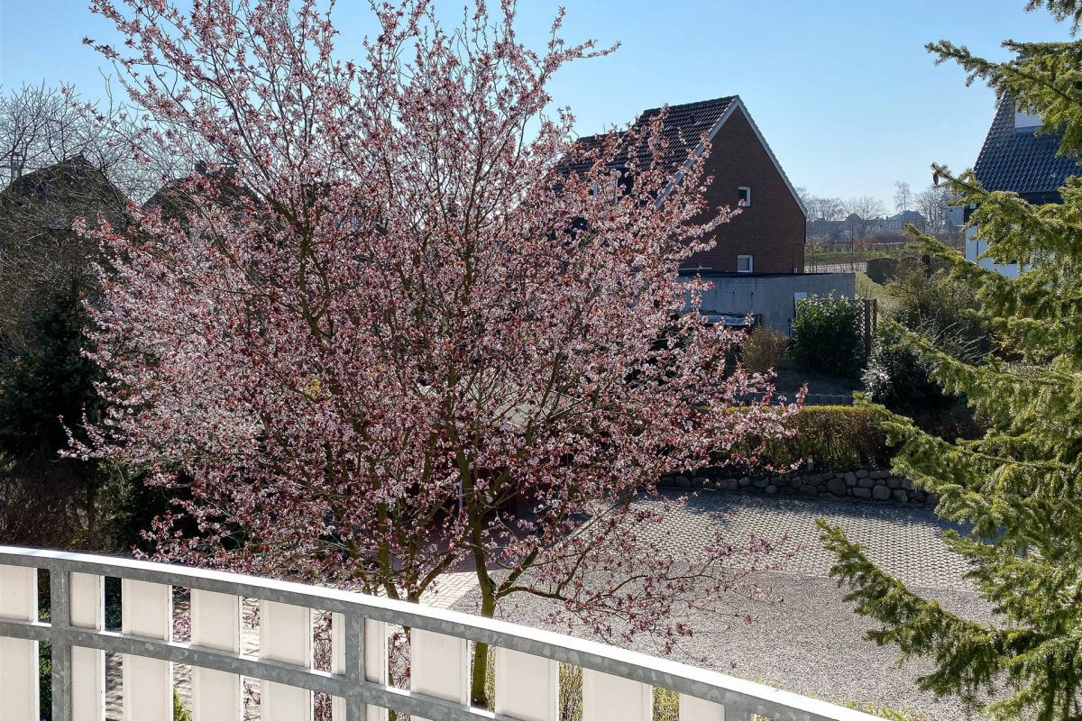 Blick vom Balkon: Haus-Rückseite mit gepflegtem Garten und Parkplatz des Gästehauses