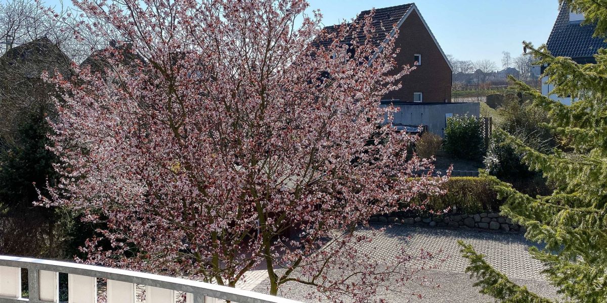 Blick vom Balkon: Haus-Rückseite mit gepflegtem Garten und Parkplatz des Gästehauses